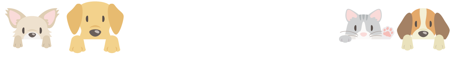 新着情報｜みさと犬猫病院